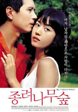 video poster
